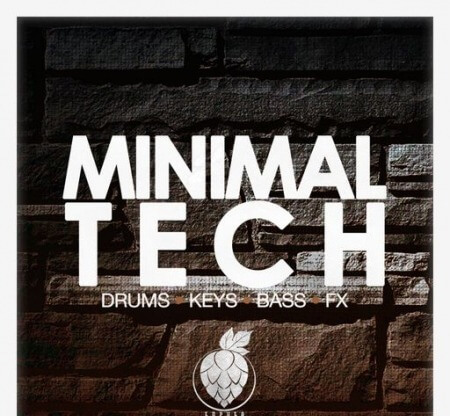 Dirty Music Minimal Tech WAV